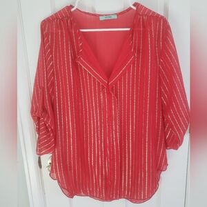 Red and Gold Striped Blouse